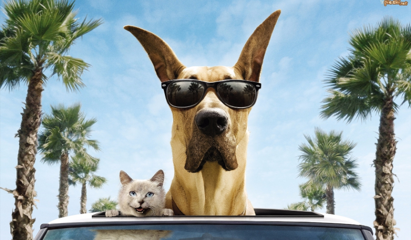 ,,Przyjaciele z innej Paczki”