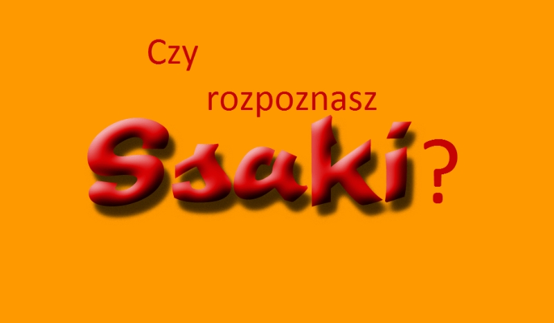 Czy rozpoznasz ssaki?