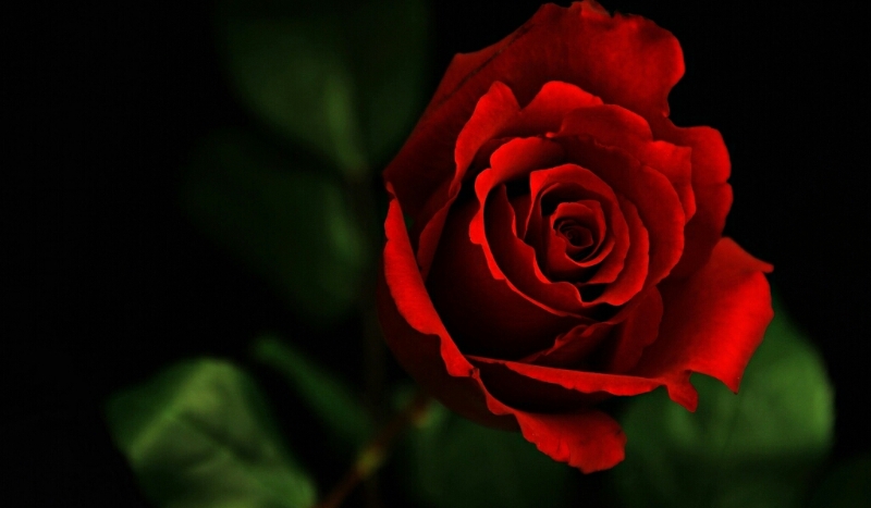 Przyjaźń, egoizm czy miłość?