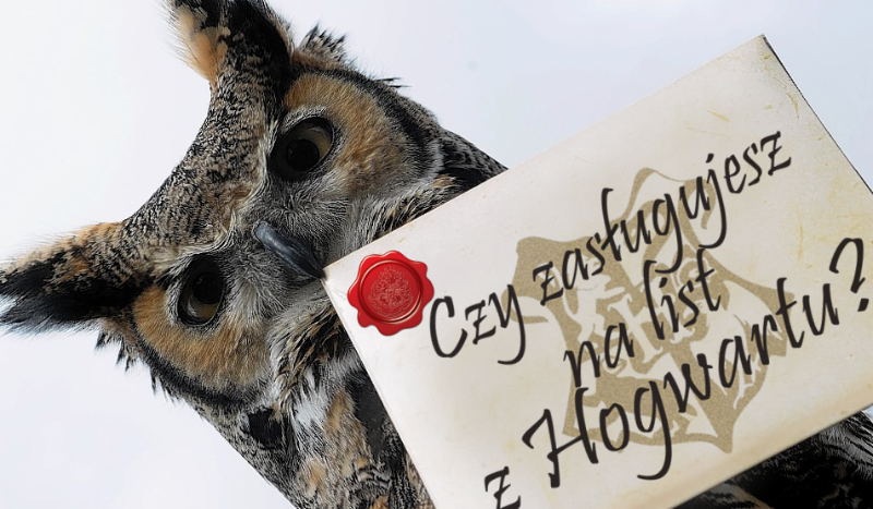 Czy zasługujesz na list z Hogwartu?