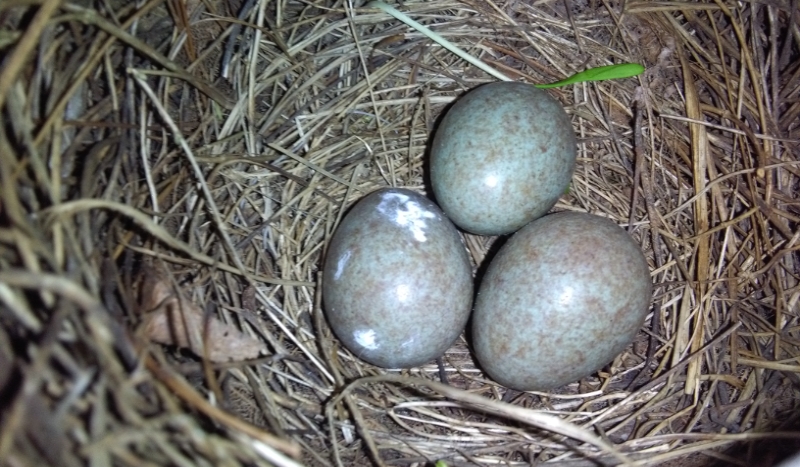 Czy inni cię lubią?