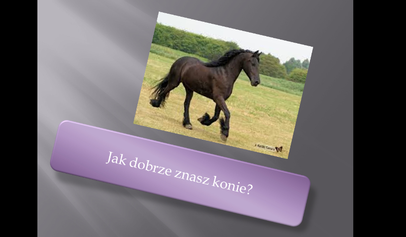 Jak dobrze znasz konie #2