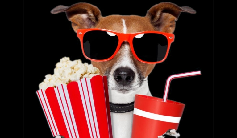 Co wolisz? Youtuberzy