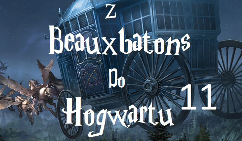Z Beauxbatons do Hogwartu #11