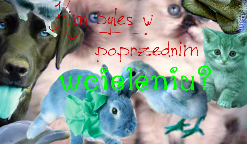 Kim byłeś w poprzednim wcieleniu?