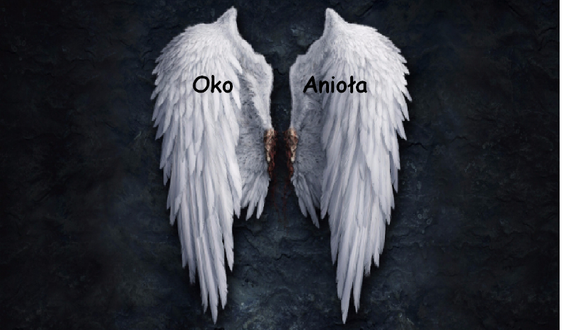 Oko anioła #1
