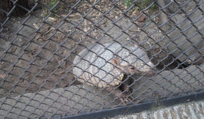 Jak dobrze znasz Lenę?