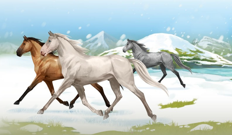 Wielki test wiedzy o Howrse!