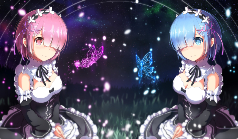 Jesteś bardziej podobny do Rem czy Ram?