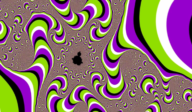 co wolisz? dla fanów zwierząt!