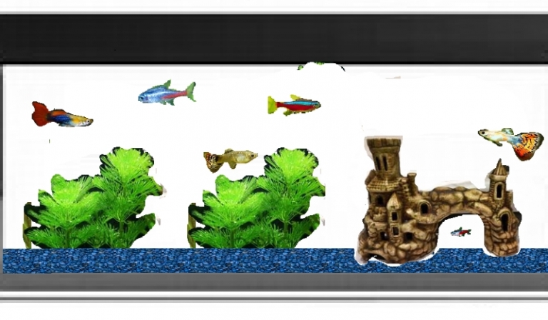 Pies kontra jaszczurka