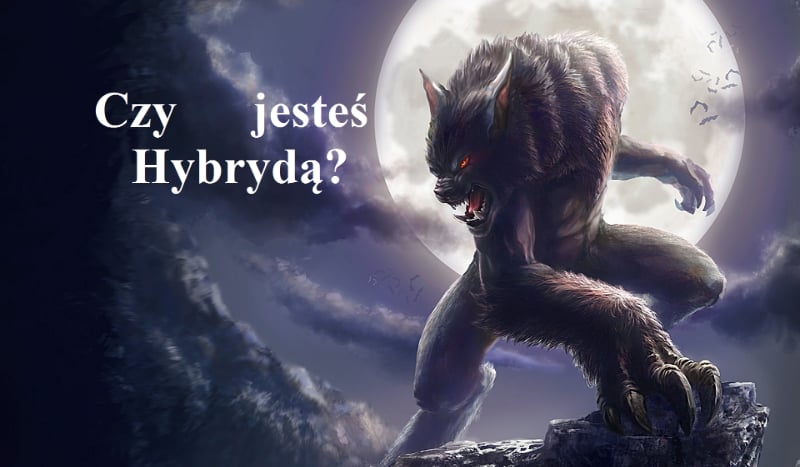 Czy jesteś Hybrydą?