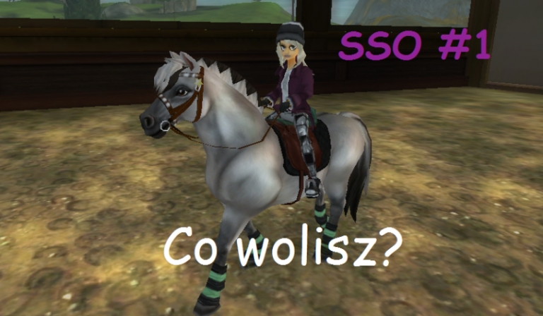 Co wolisz? Pytania o SSO #1