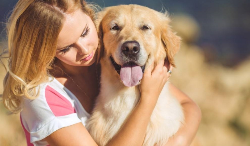 „Która rasa psa jest twoją bratnią duszą?”