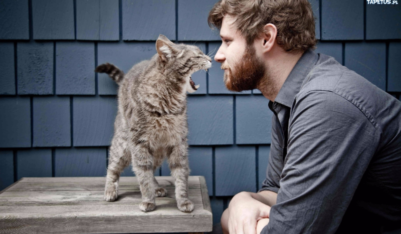 Jaki będzie Twój mąż?