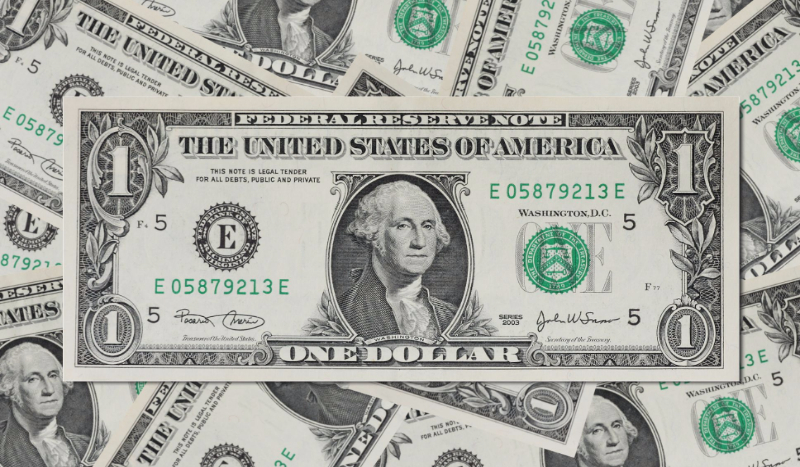 JAKI YOTUBER DA CI  DOLLARA