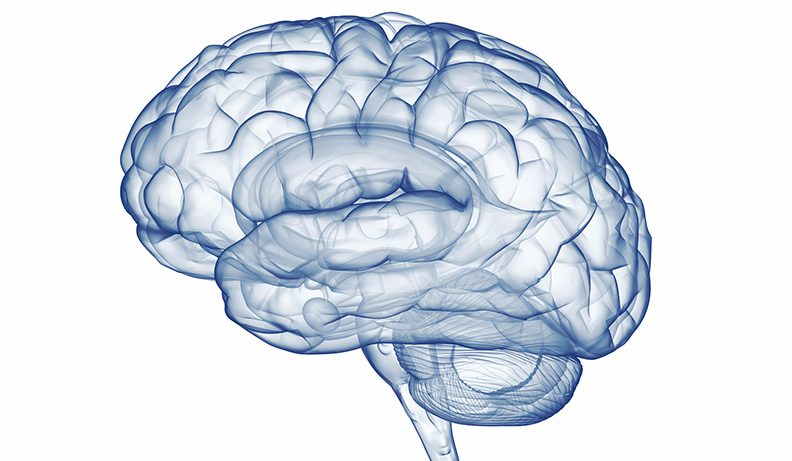 Czy odpowiesz na trudne pytania logiczne?