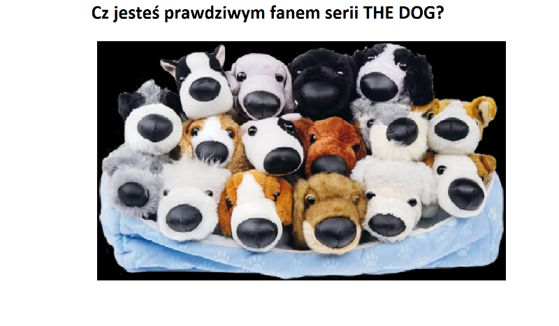Ile wiesz o the dog?