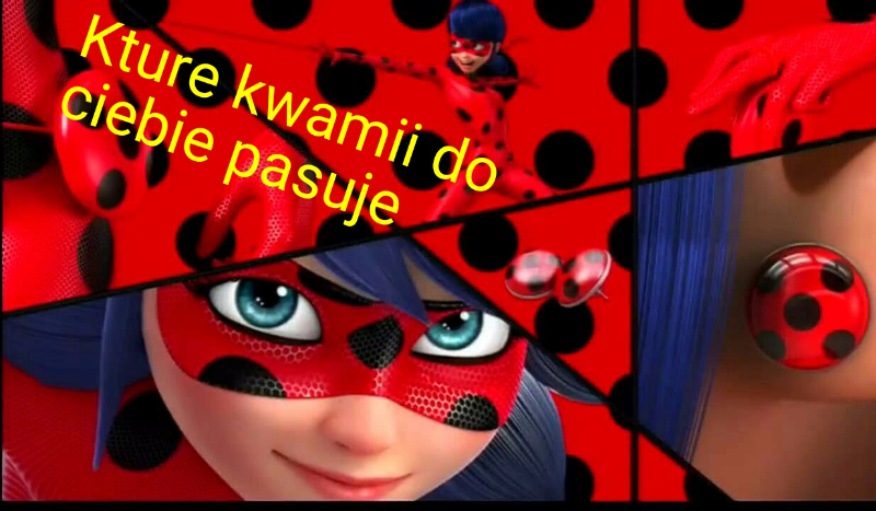 Kture kwamii do ciebie pasuje?