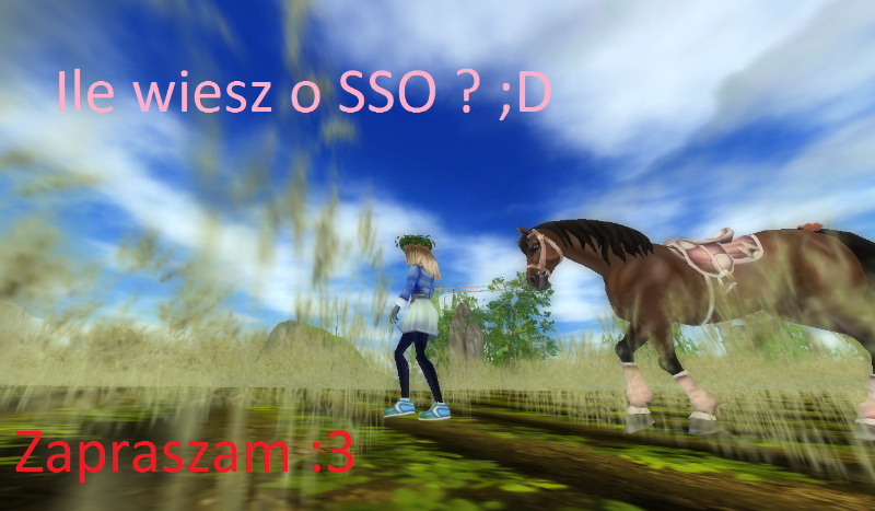 Ile wiesz o Star Stable !