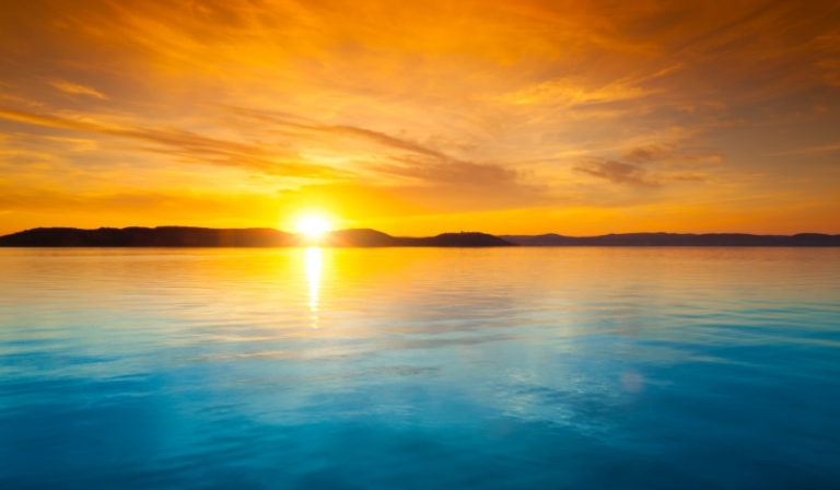 Szpecjał na 50 OBSERWUJĄCYCH !!!! (Twoja Historia z Czkawką)