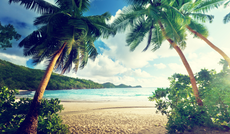 Wakacyjna przygoda! – część 1