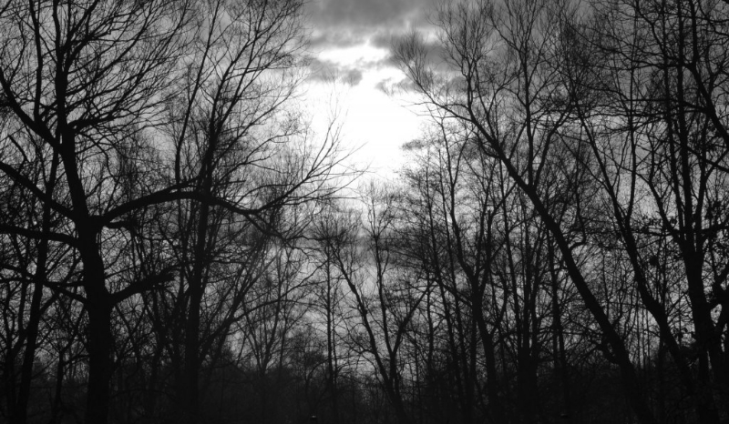 Mroczna Prawda: Wstęp (krótki)