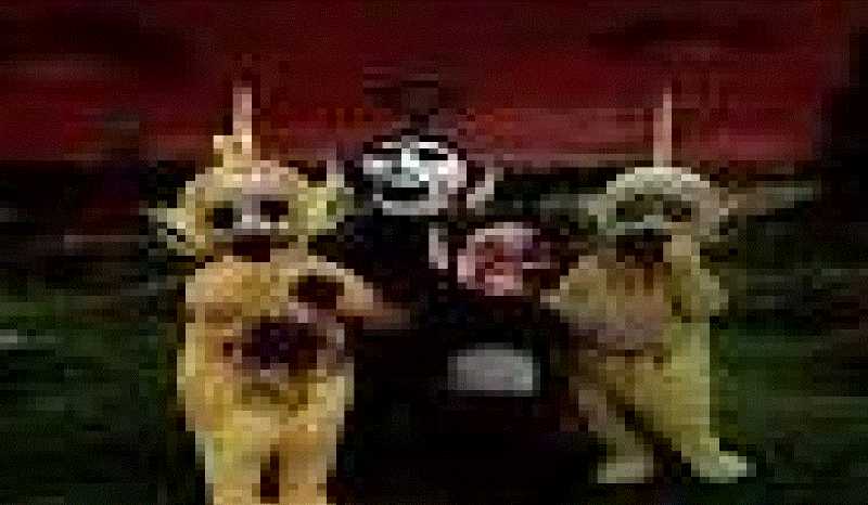 jakim slendytubbies jesteś???????????????????????????????????????????????????????????????????????????