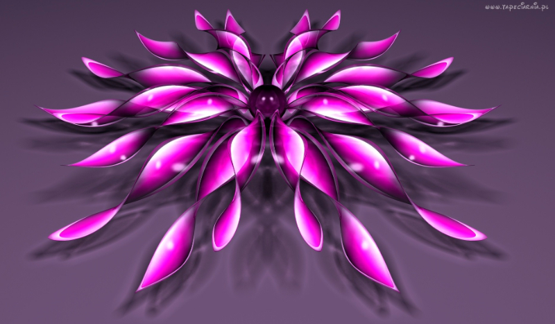 Przyjaciele na zawsze