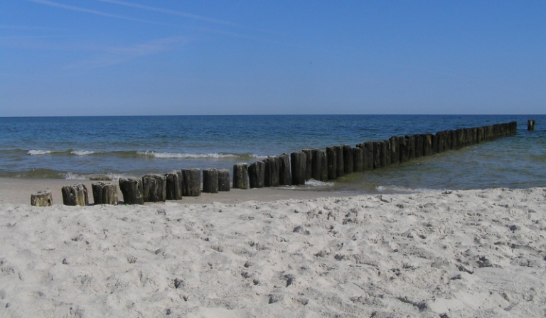 „Co wolisz?” – Wakacje