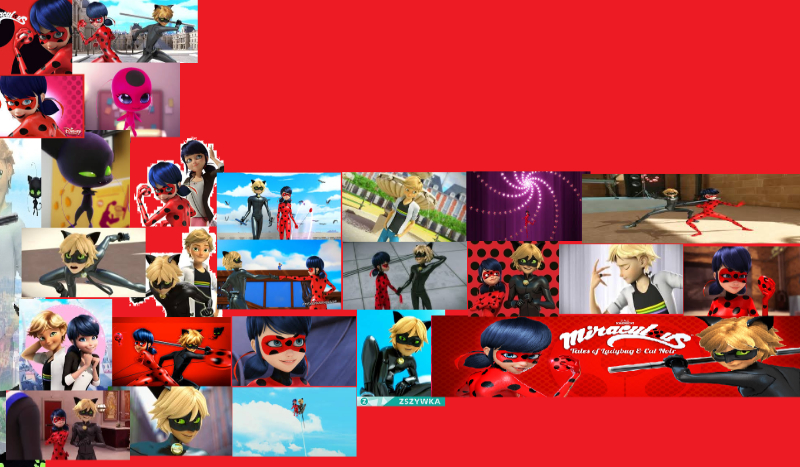 gotów steć się biedronką?