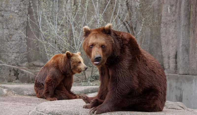 Emma, Kamila i … #2