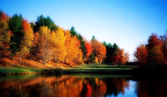 Kogo wolisz z soy luna