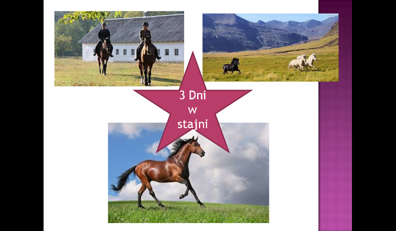3 dni w stajni #1