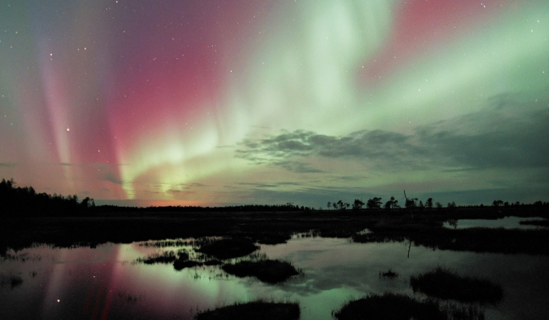 Czy jesteś optywistą czy pesymistą