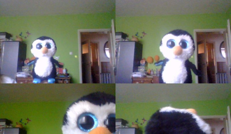 Prawda czy fałsz ? o mnie