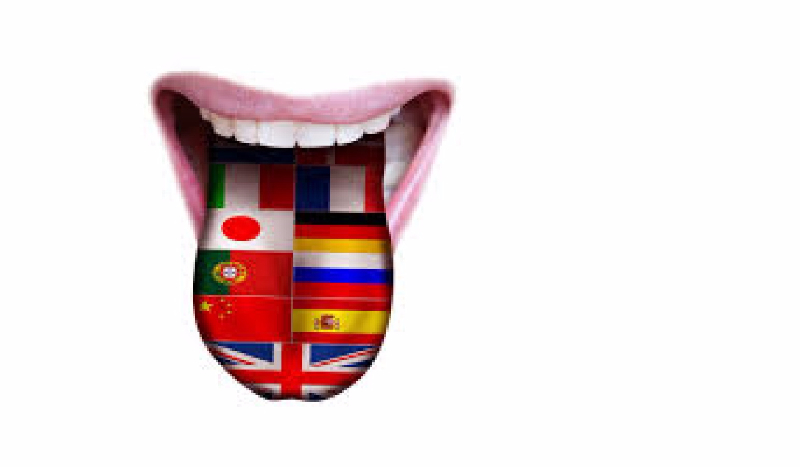 Jaki język do Ciebie pasuje?