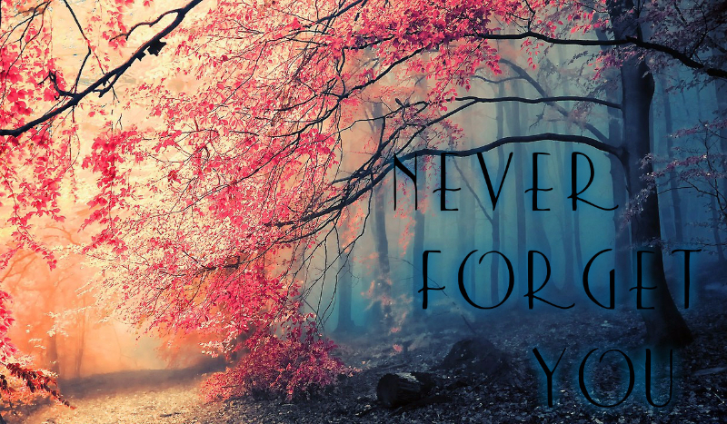 Never Forget You #1