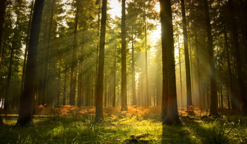 Gdy nastaje nowy dzień… #1