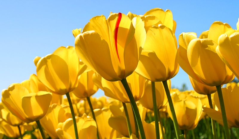 Wakacyjana przygoda #1