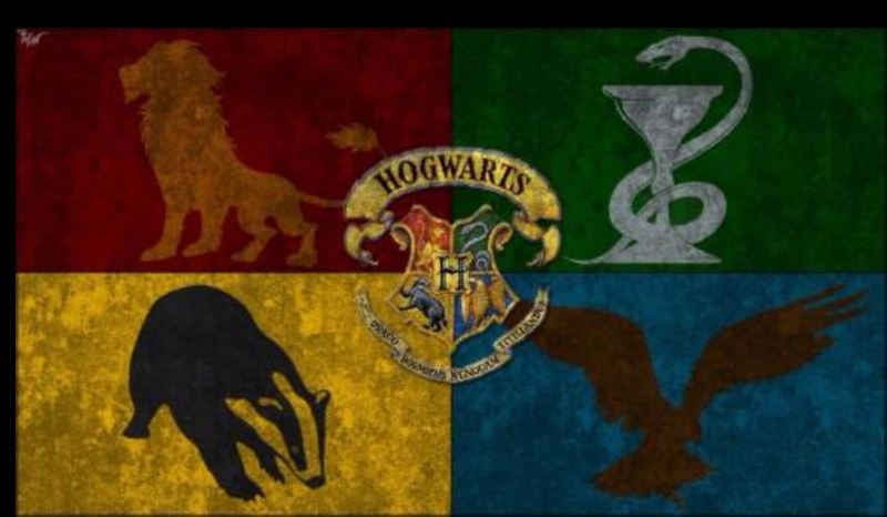 Do jakiego domu z Hogwartu należysz?