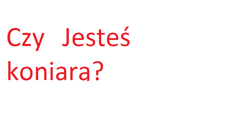 Czy jesteś Koniarą?