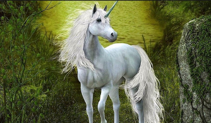 Na podstwie twojego znaku zodiaku powiemy Ci jakim magicznym koniem jesteś!
