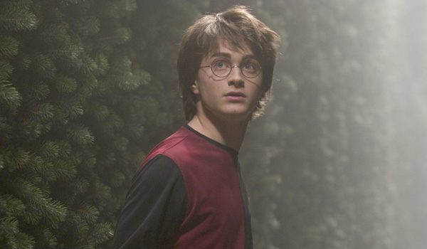Jak potoczy się twoja historia z Harrym jako siostra  Draco? #14.1
