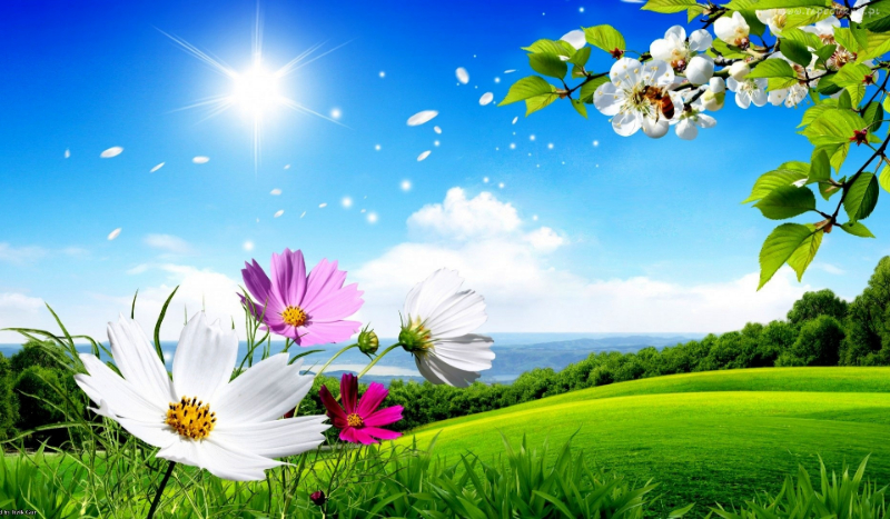 Czy przeżyjesz super przygodę?