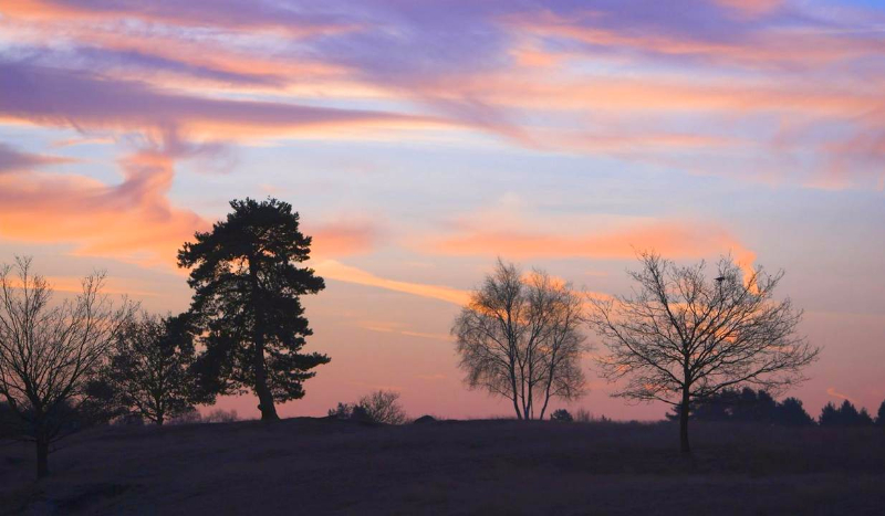 I hate you I love you #2