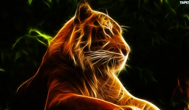 Jesteś odważny czy strachliwy ?