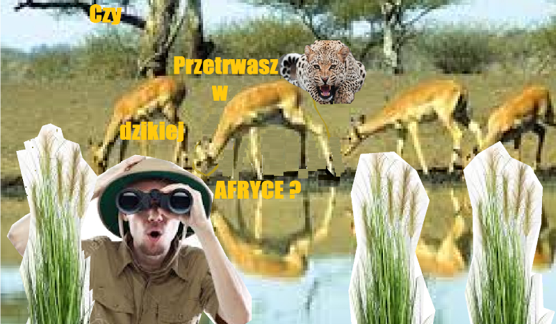 Czy przeżyjesz w dzikiej afryce ?