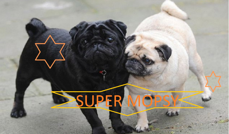 Super Mopsy #1