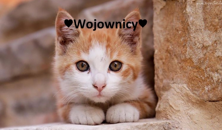 Wojownicy cz.1 #1